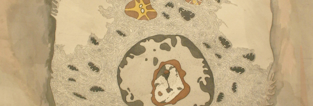 Artwork by Vicki Couzens, Untitled, mixed media on paper 2005 Aboriginal artwork