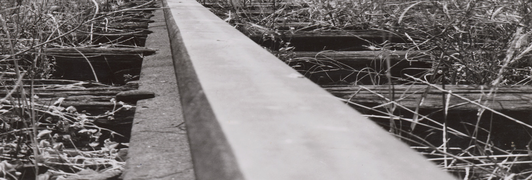 Robinson article SLV Robinson article SLV