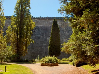 Vertical plantings at the foot of the dam wall in 2010.