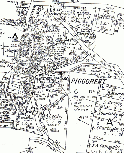 Piggoreet allotments in Parish of Clarkesdale Parish plan (detail).