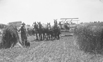 Photo of a farmer with horses in a field